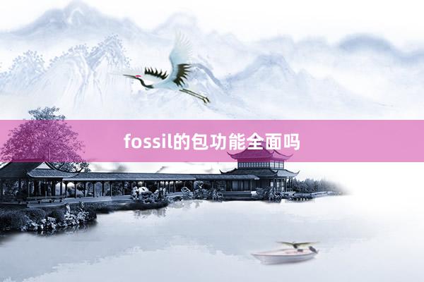fossil的包功能全面吗